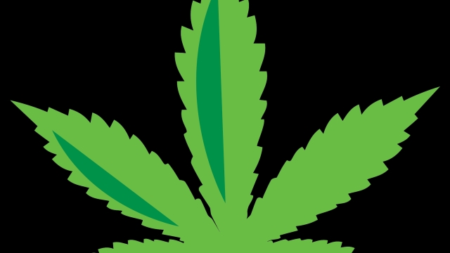 High Times: Exploring the Buzz around Marijuana