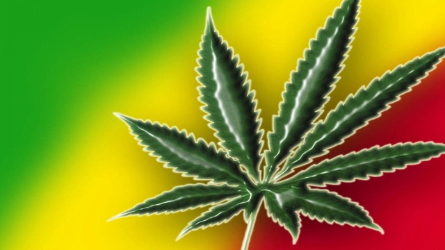 The Green Renaissance: Exploring the Highs and Lows of Marijuana