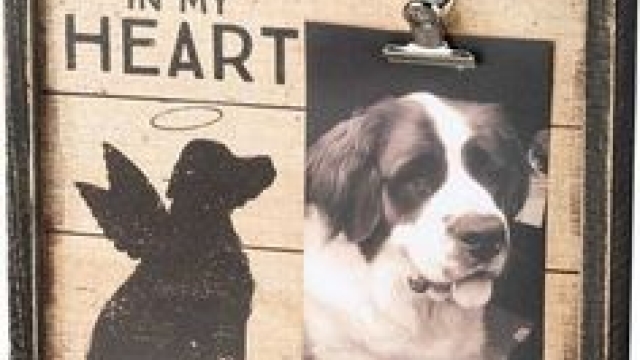 Forever Remembered: Honoring the Lives of Our Beloved Pets