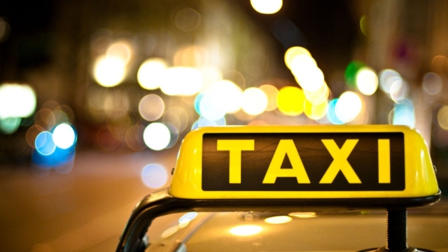 Exploring the Fast Lane: Alkmaar’s Top Taxi Service Picks