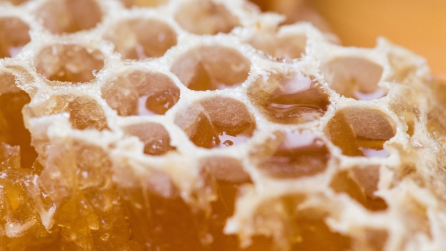 Beware the Sweet Sting: Unveiling the Secrets of Mad Honey