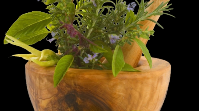 Blossoming Harmony: Essential Calendula Companion Plants for Garden Success