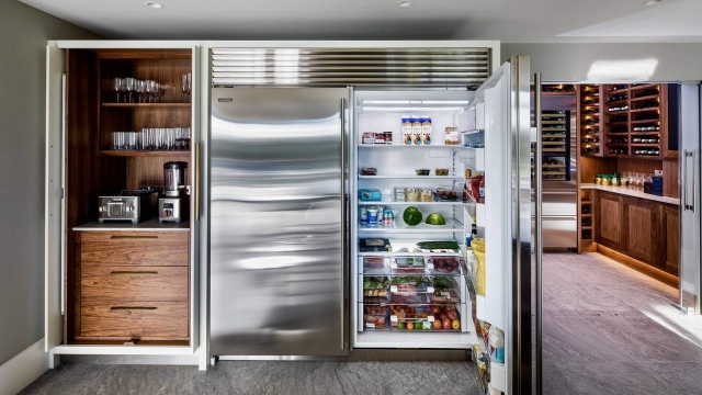 Chilling Innovations: Exploring Sub Zero Appliances and Freezers