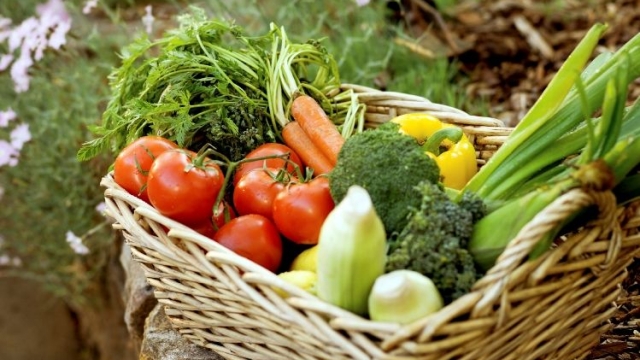 From Soil to Table: Unveiling the Secrets of Organic Gardening