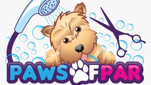 Pampered Paws: A Day at the Pet Saloon