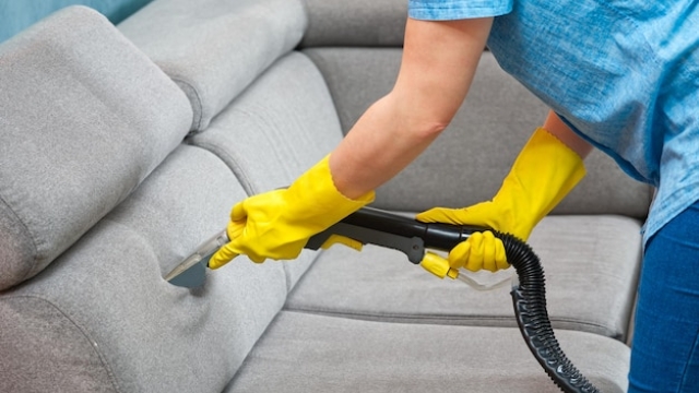 Revitalize Your Space: The Magic of Professional Cleaning Services