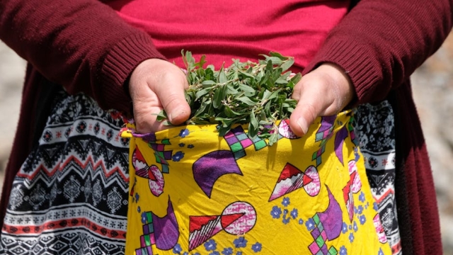 Overview of Commercial Plant Production Techniques