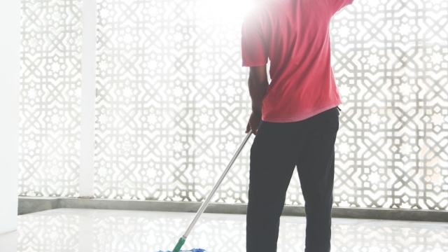 Overview of Professional Cleaning Standards
