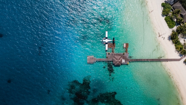 Understanding the Biology of Fish Breeding