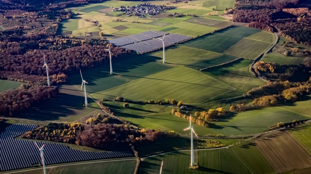 Innovative Therapies for Holistic Health