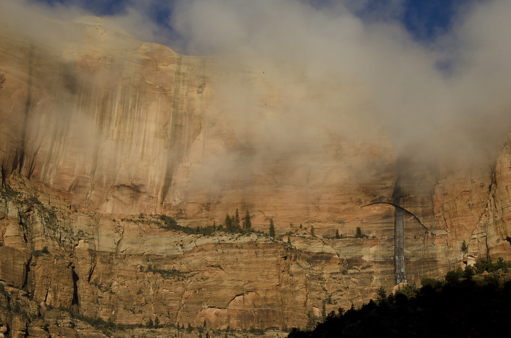 Atmospheric editorial landscape