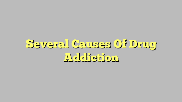 Several Causes Of Drug Addiction